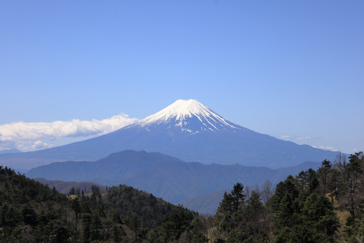 小金沢山からの秀麗な富士山の眺め