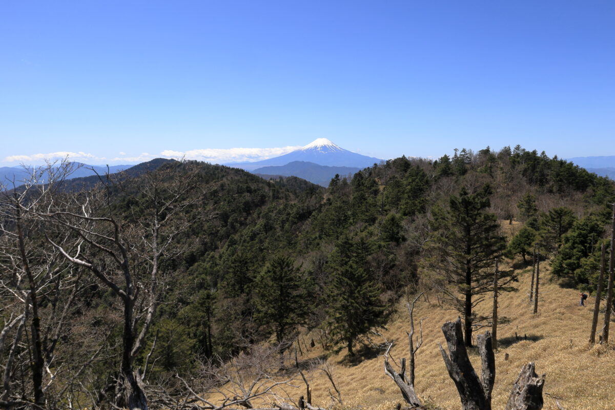 富士山の手前に見える次の目的地、牛奥ノ雁ガ腹摺山