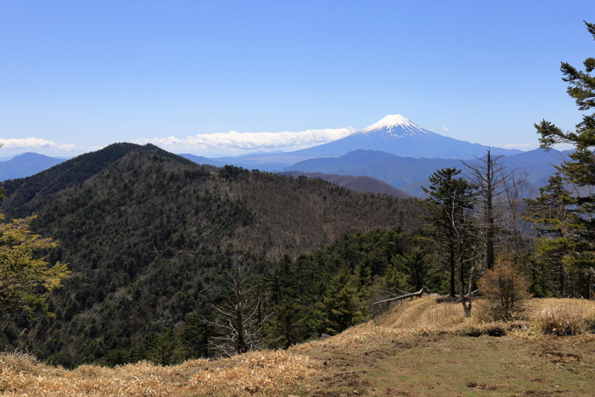 牛奥ノ雁ガ腹摺山山頂からの富士山と黒岳の眺め