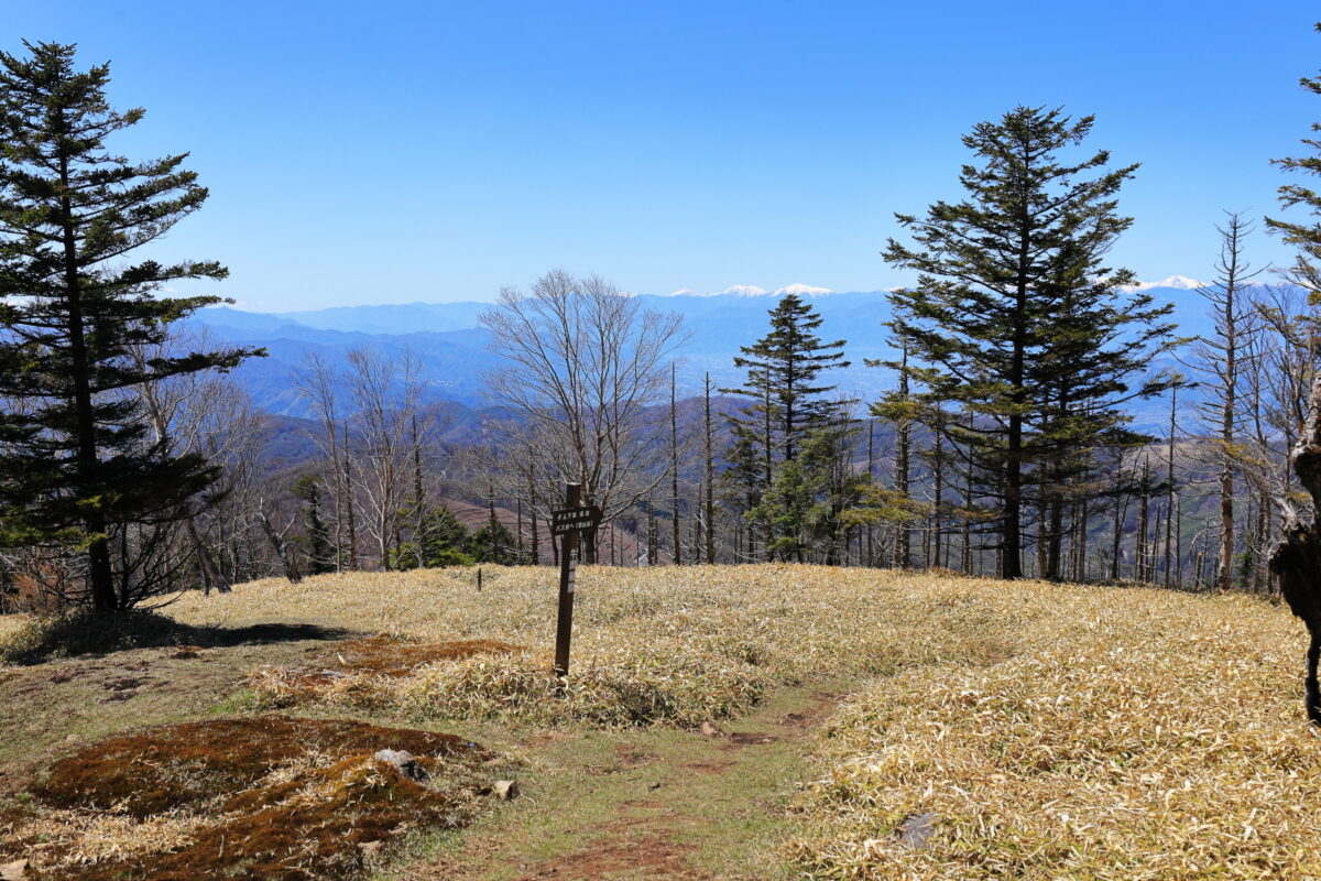 牛奥ノ雁ガ腹摺山山頂からの南アルプスの眺め