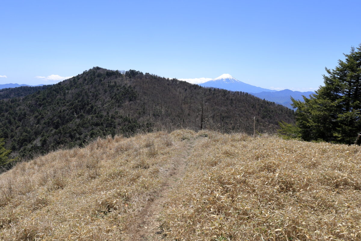 牛奥ノ雁ガ腹摺山から黒岳への道