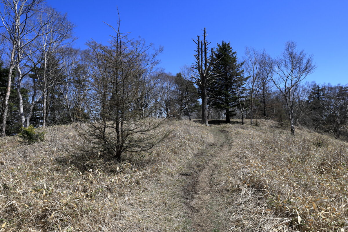 牛奥ノ雁ガ腹摺山からいったん下って登り返したところにある「川胡桃沢の頭」