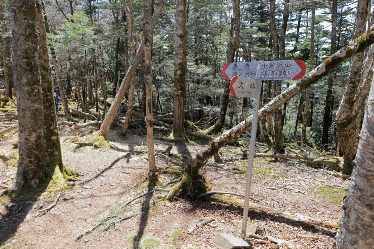 黒岳手前の大峠への分岐