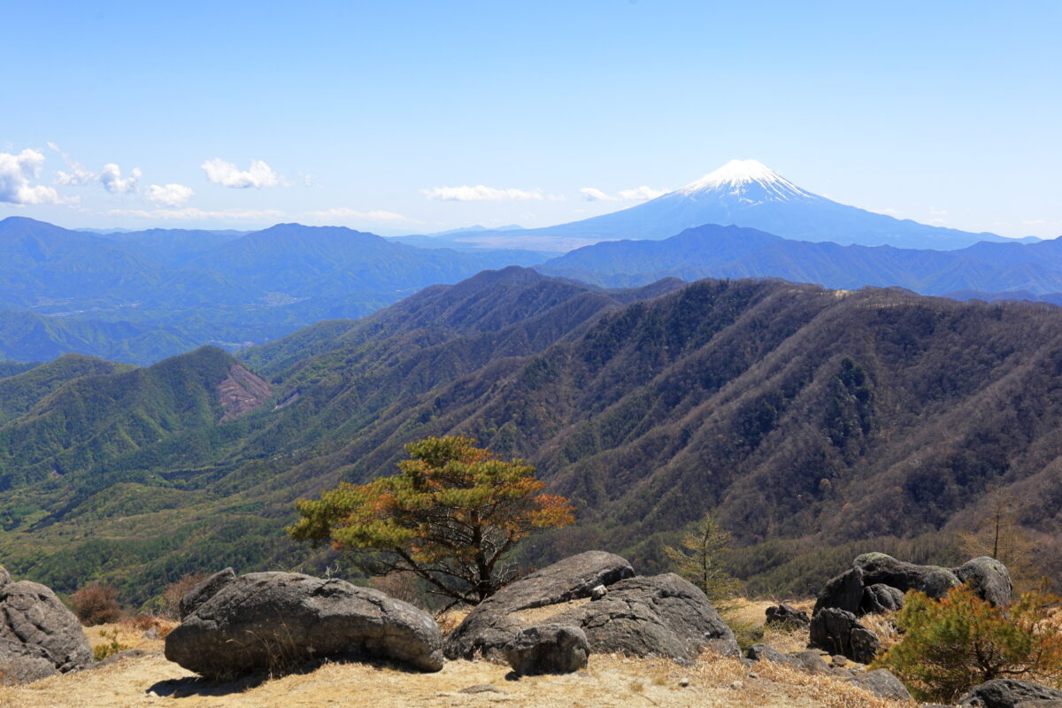 白谷小丸から眺める富士山と小金沢連嶺南部の山並み