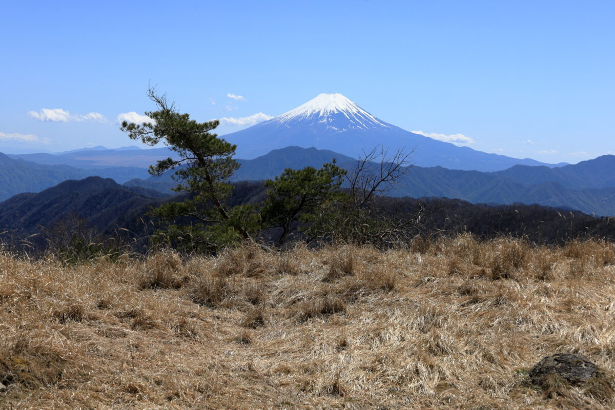 白谷小丸から湯ノ沢峠への途中で見られる富士山の眺め