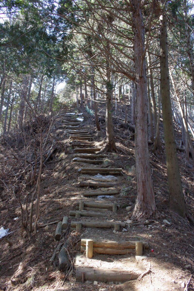 ひたすら階段が続く仏果山への登山道