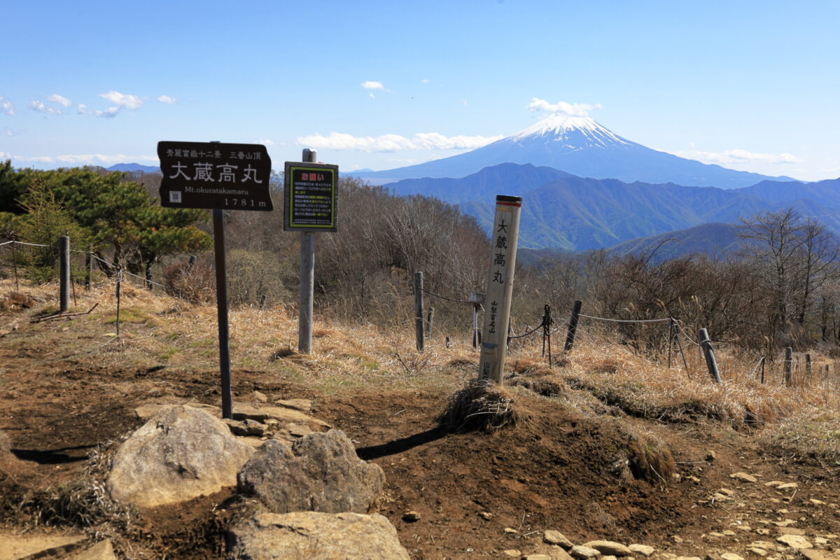 大蔵高丸山頂付近の様子