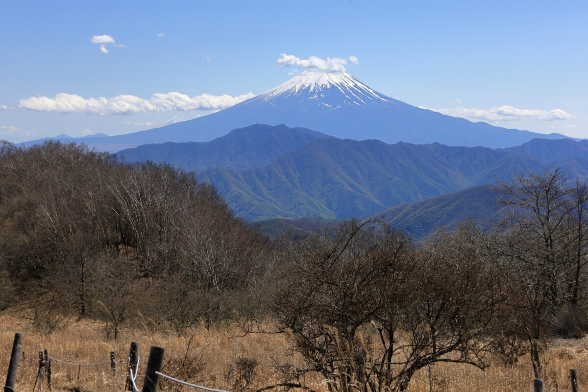 大蔵高丸山頂からの素晴らしい富士山の眺め