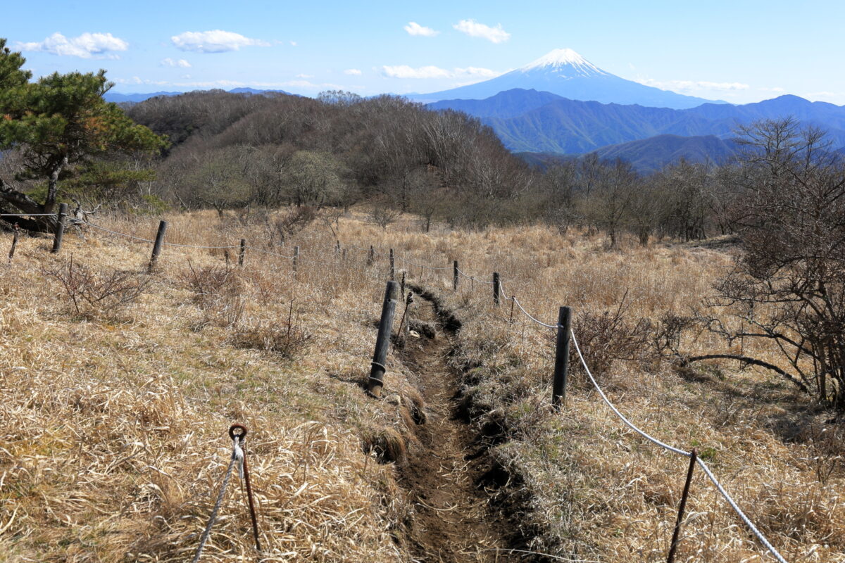 大蔵高丸からハマイバ丸への登山道