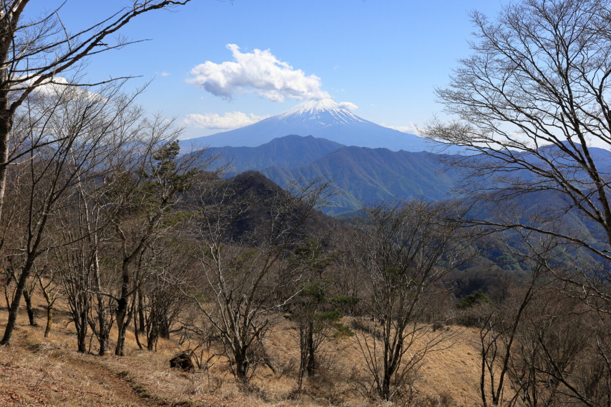 ハマイバ丸山頂からの富士山の眺め