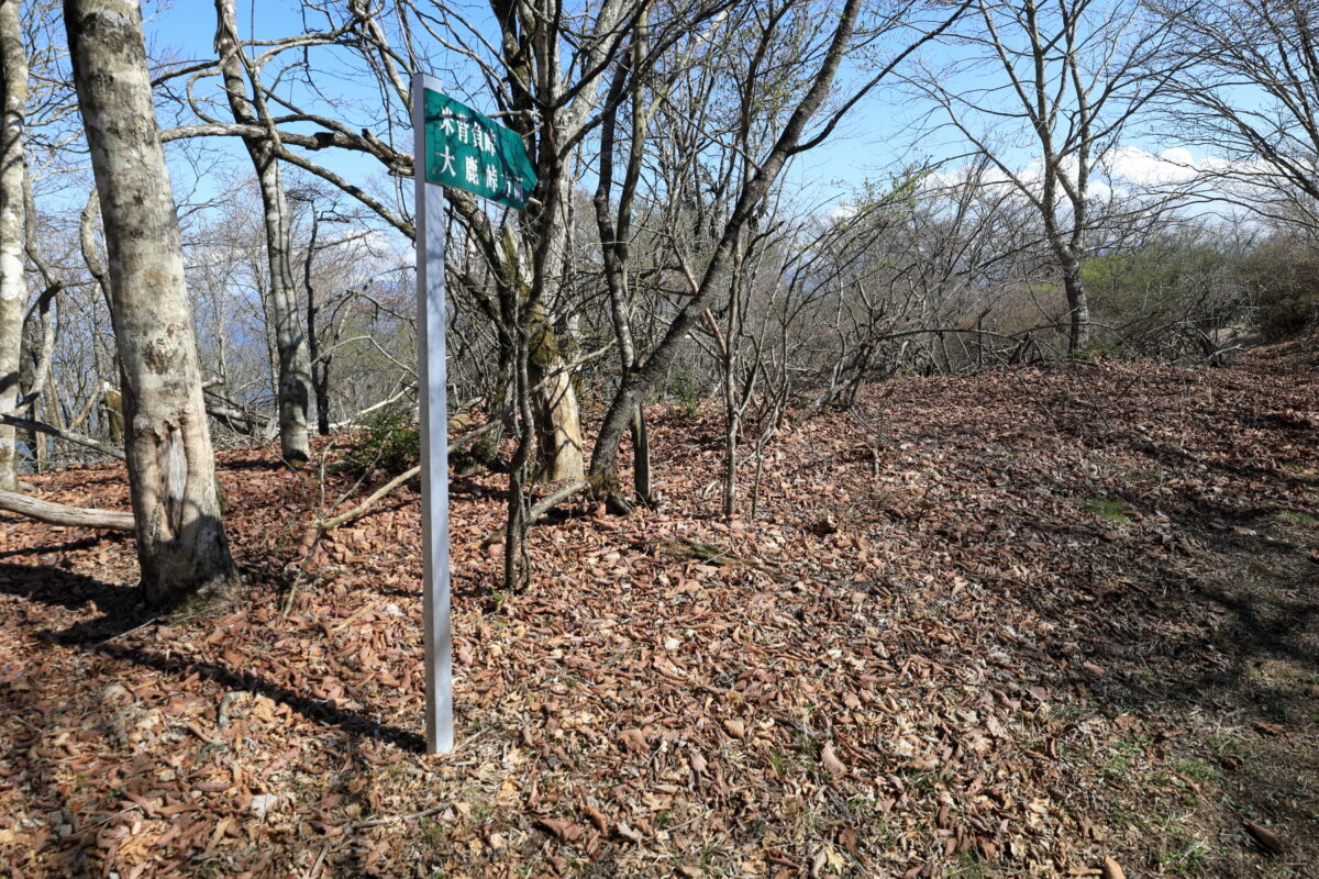 ハマイバ丸から米背負峠への尾根道