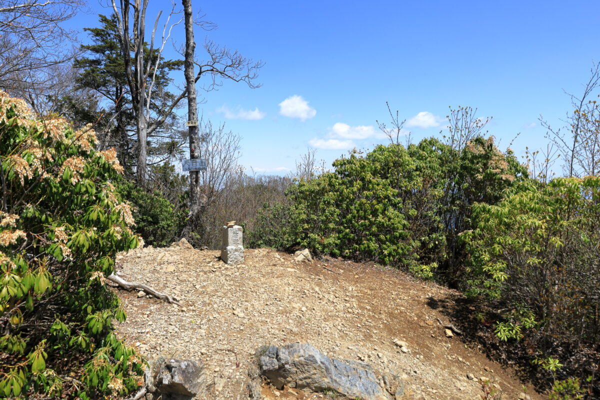 天目山山頂の様子