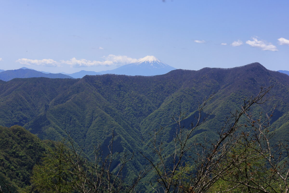天目山山頂からの富士山と石尾根の眺め