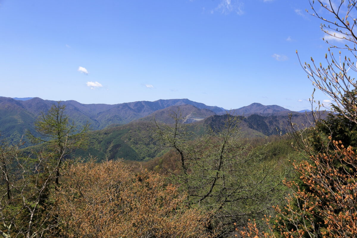 天目山山頂からの雲取山と長沢背稜の眺め