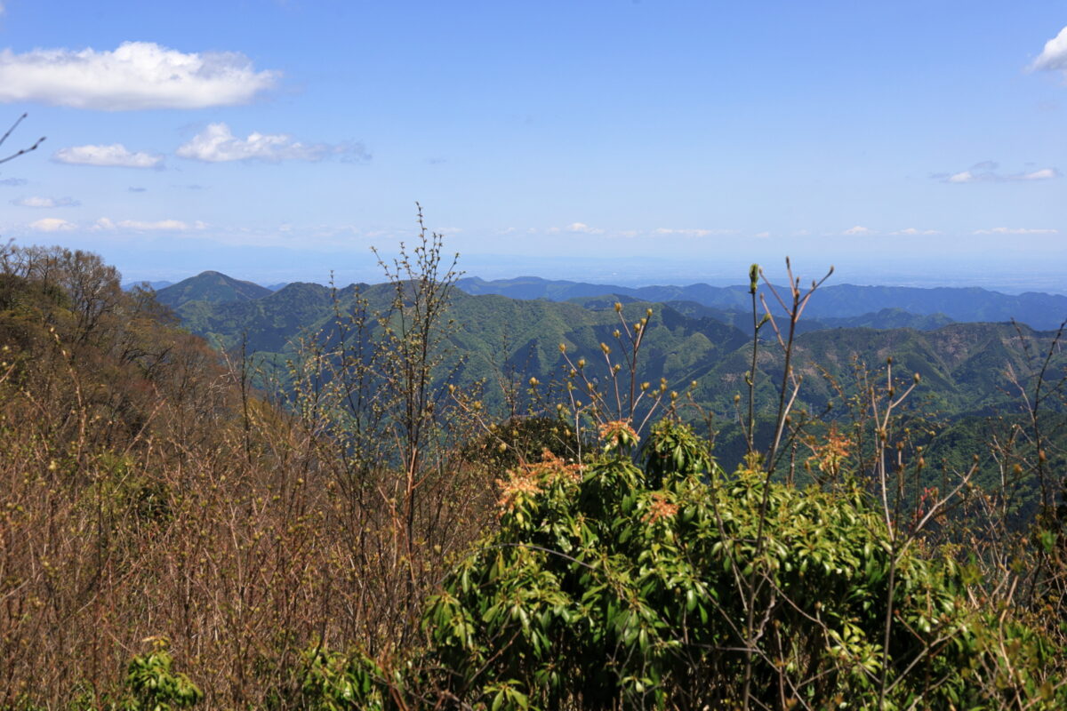 天目山山頂からの奥武蔵方面の眺め