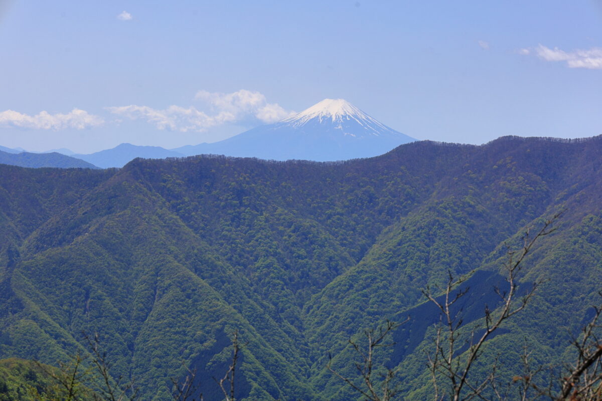 天目山からの富士山のアップ