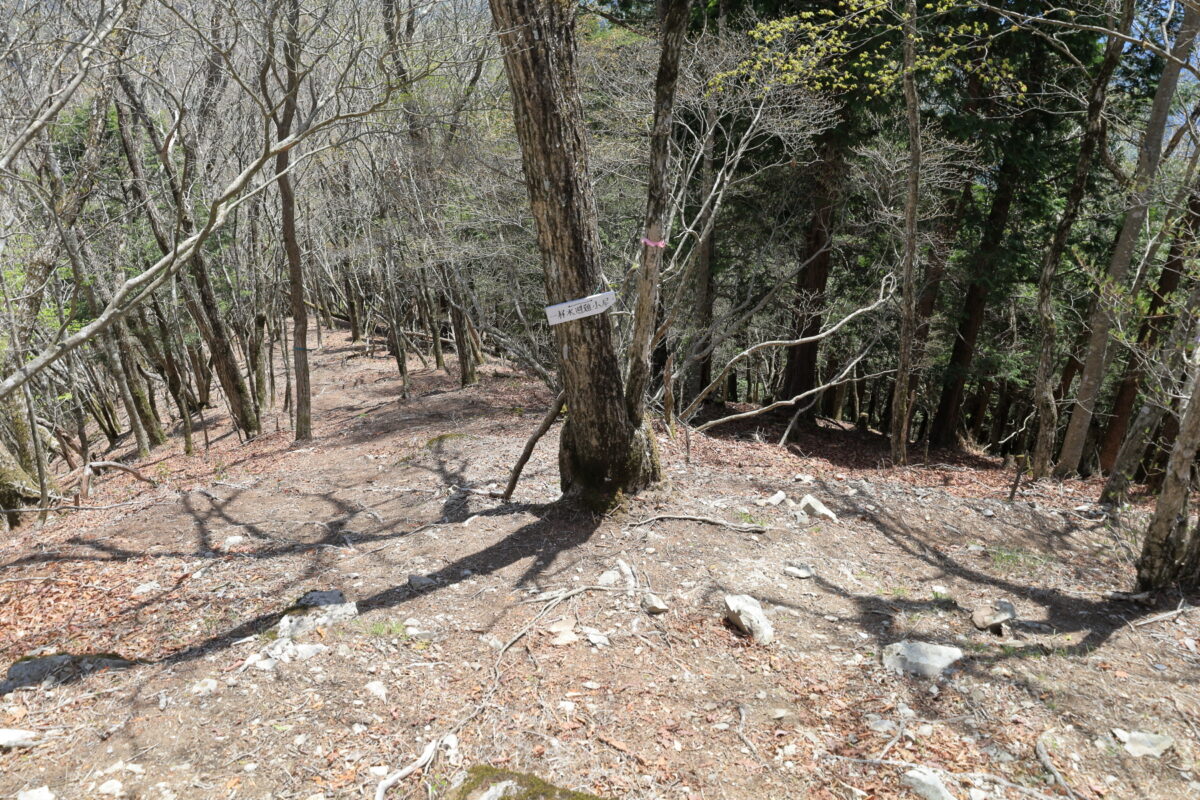 天目山山頂から天目背稜縦走路への分岐