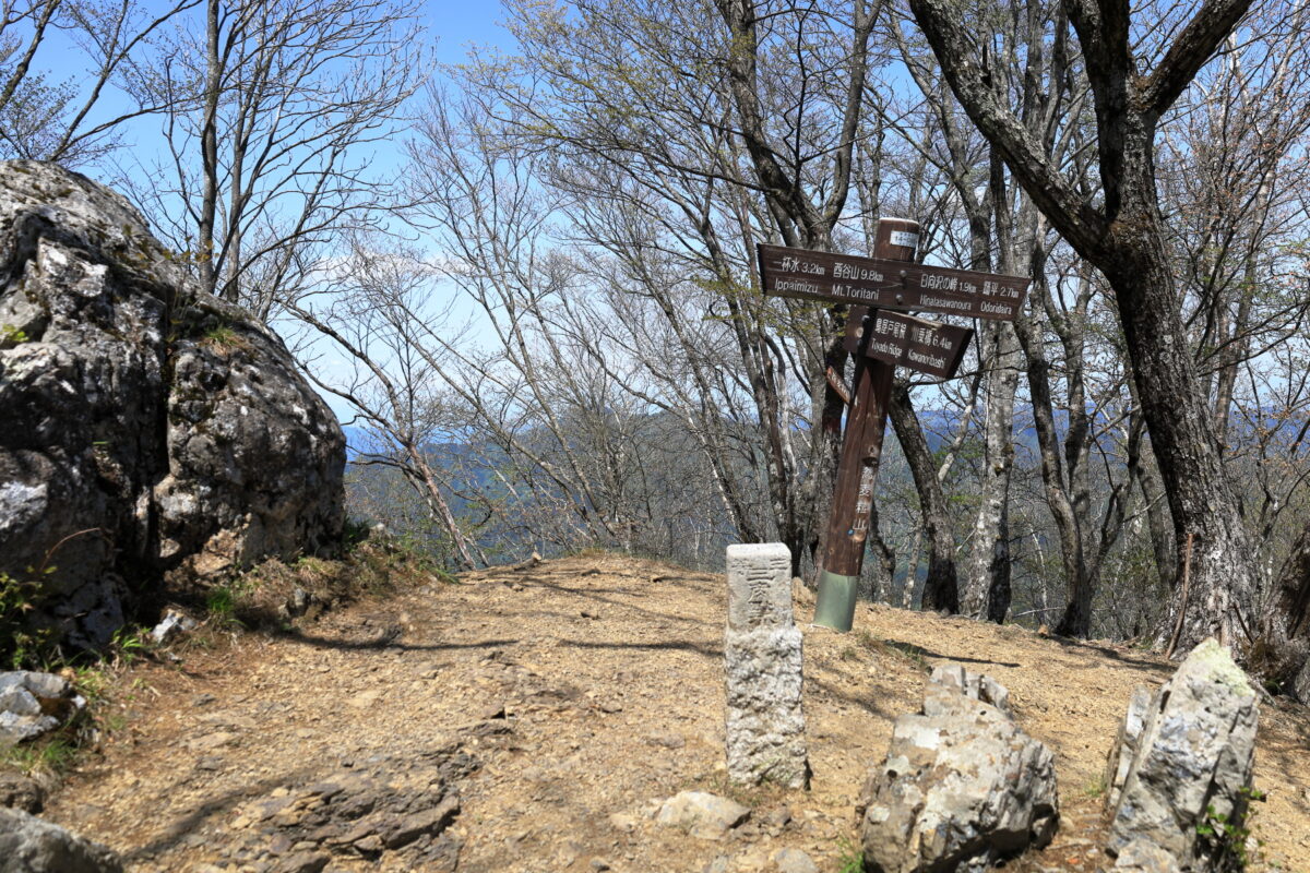 蕎麦粒山山頂の様子