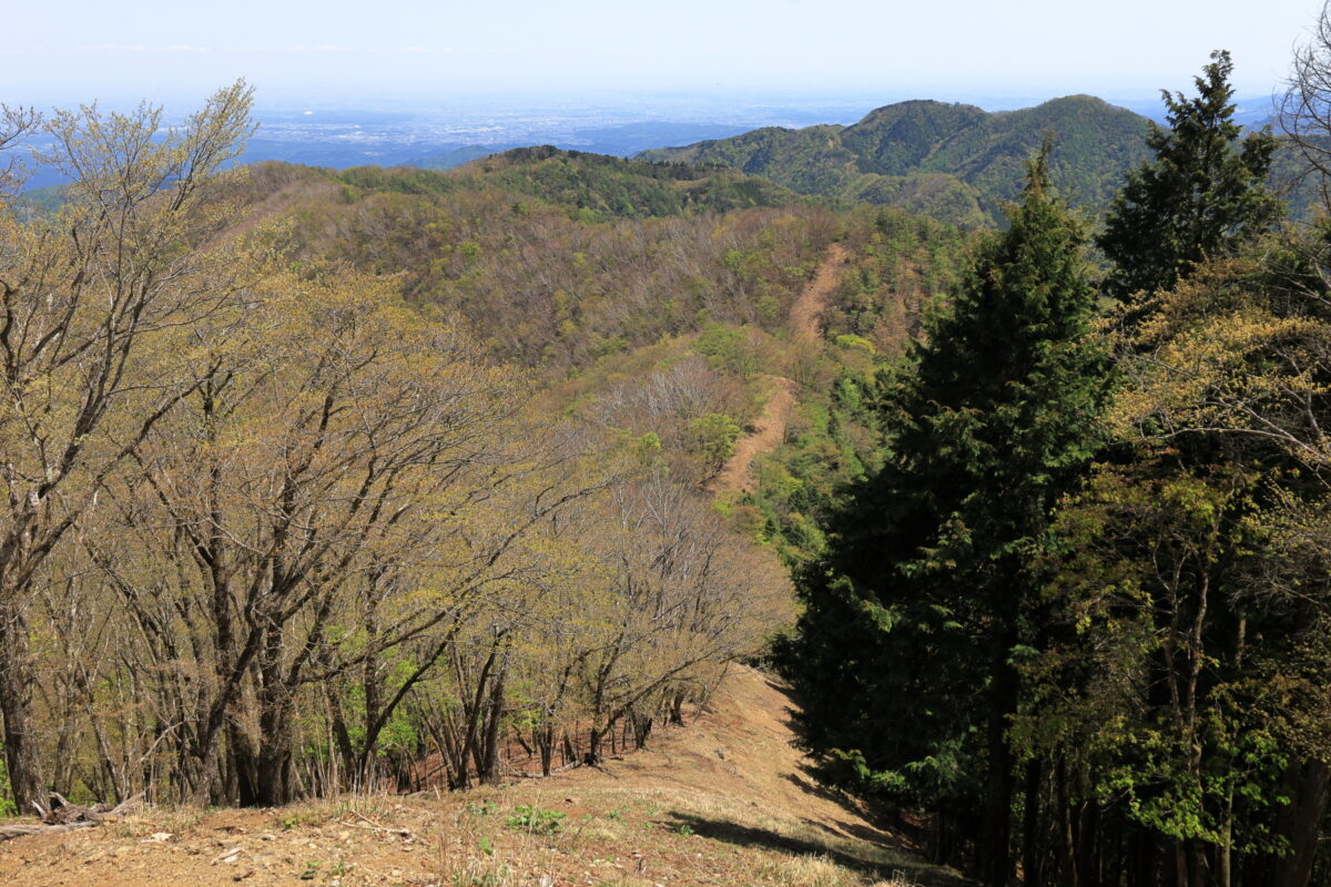 蕎麦粒山山頂からの東側の眺望