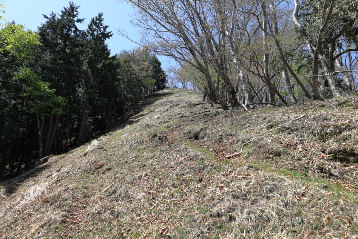 蕎麦粒山山頂からの急坂