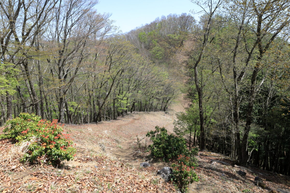 蕎麦粒山山頂から下ったあとの登り返し