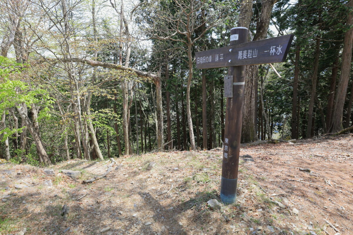 急登を登りきったところにある道標