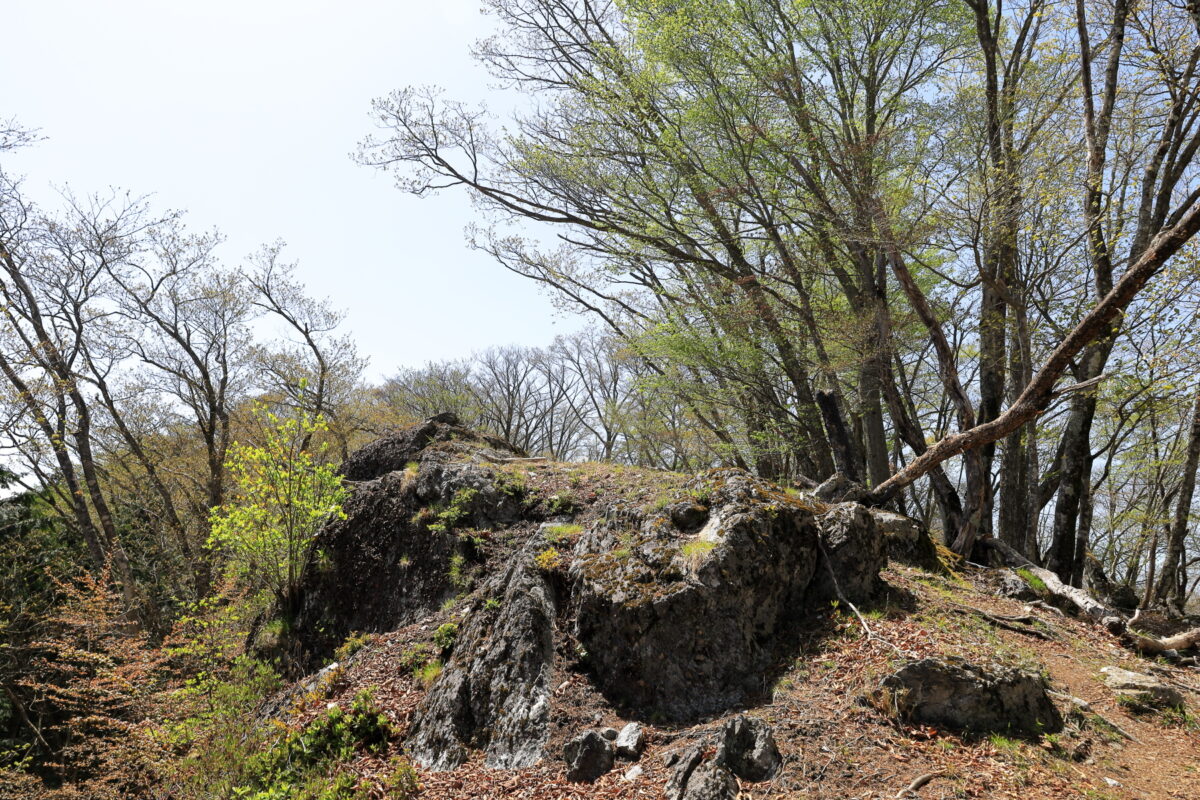 尾根道の高まりの一つ「柱谷の峰」