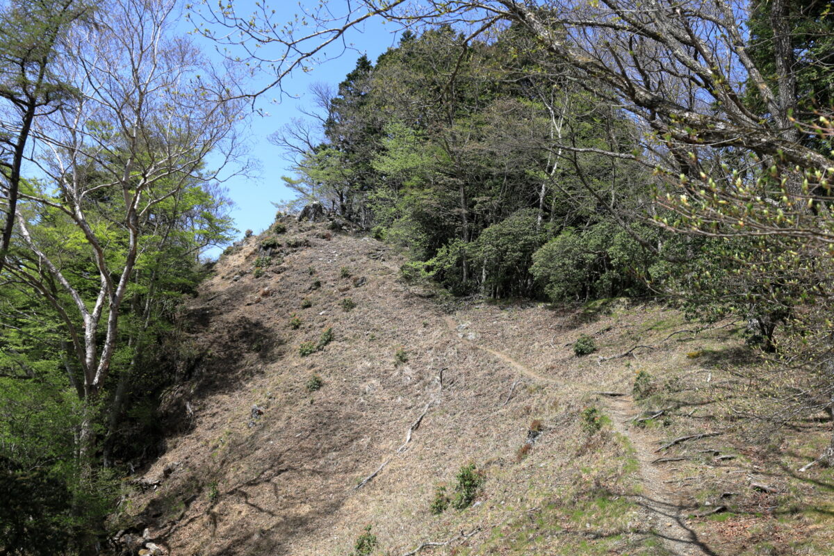 日向沢ノ峰の様子