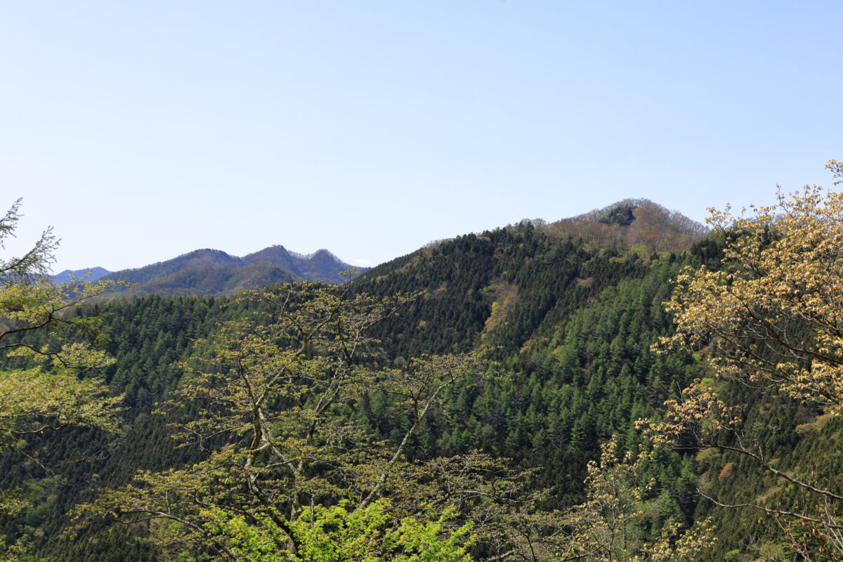 日向沢ノ峰付近からの蕎麦粒山と天目山の眺め