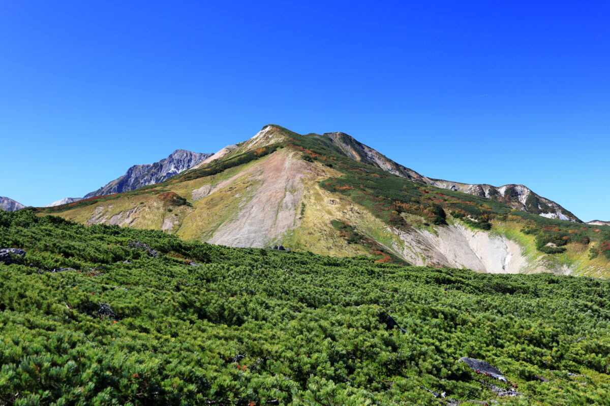 ハイマツに覆われた白馬乗鞍岳と小蓮華山への美しい稜線