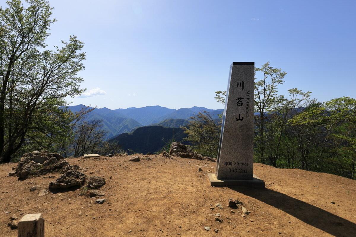 川苔山山頂の様子