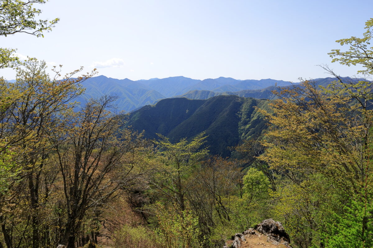 川苔山山頂からの雲取山の眺め