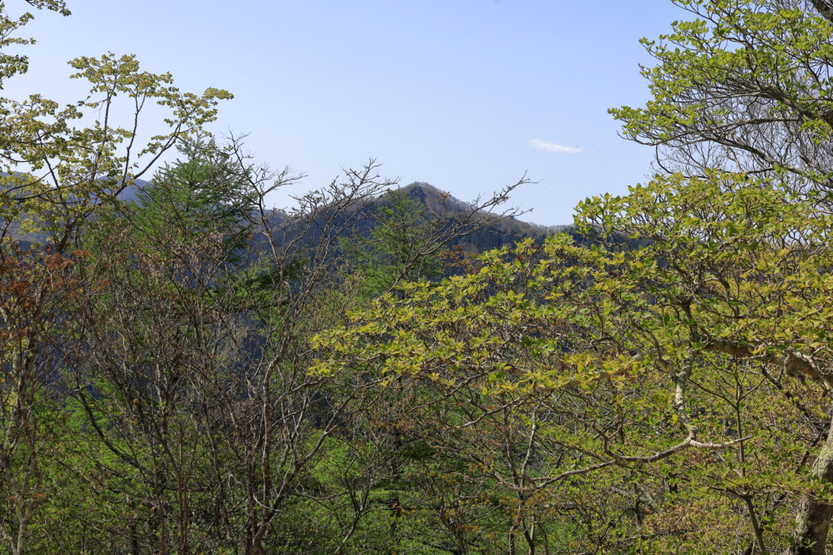 川苔山山頂からの蕎麦粒山の眺め