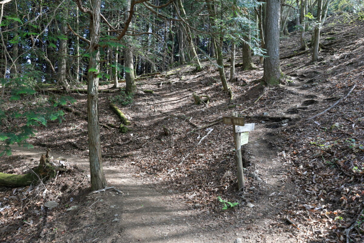 本仁田山方面への分岐