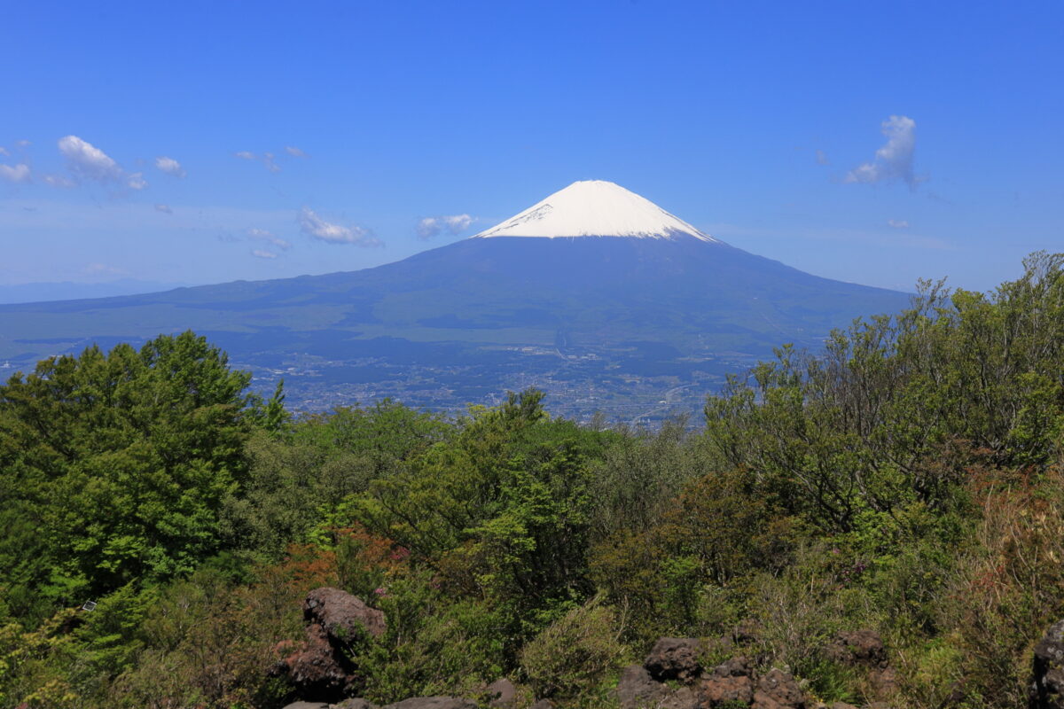 金時山山頂からの素晴らしい富士山の眺め