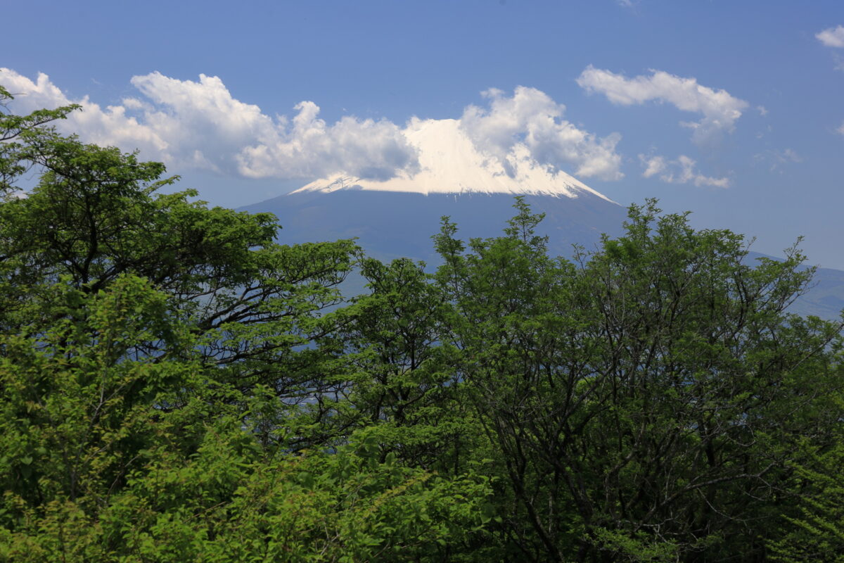 「富士見台」展望台からの富士山の眺め