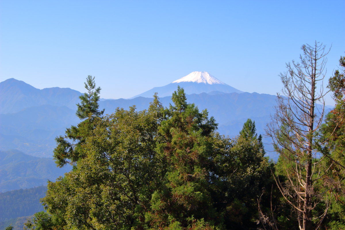 景信山山頂からの眺めた富士山