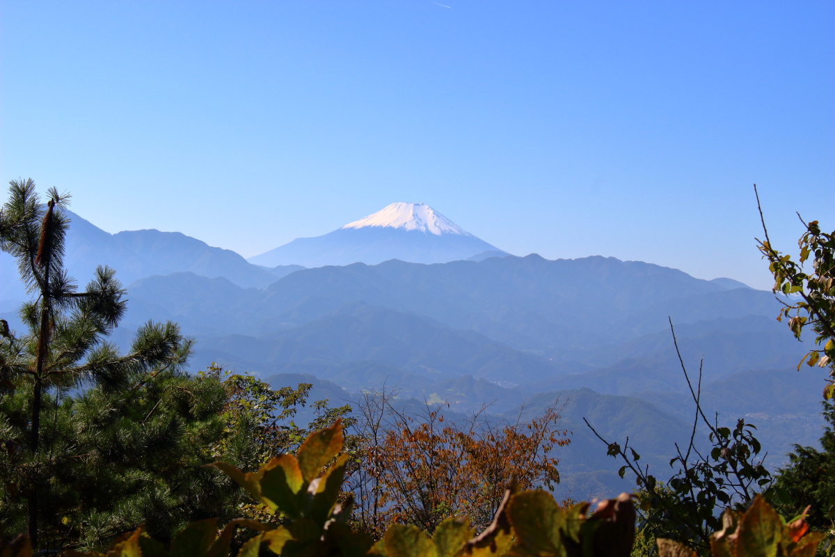 景信山の山頂からの富士山