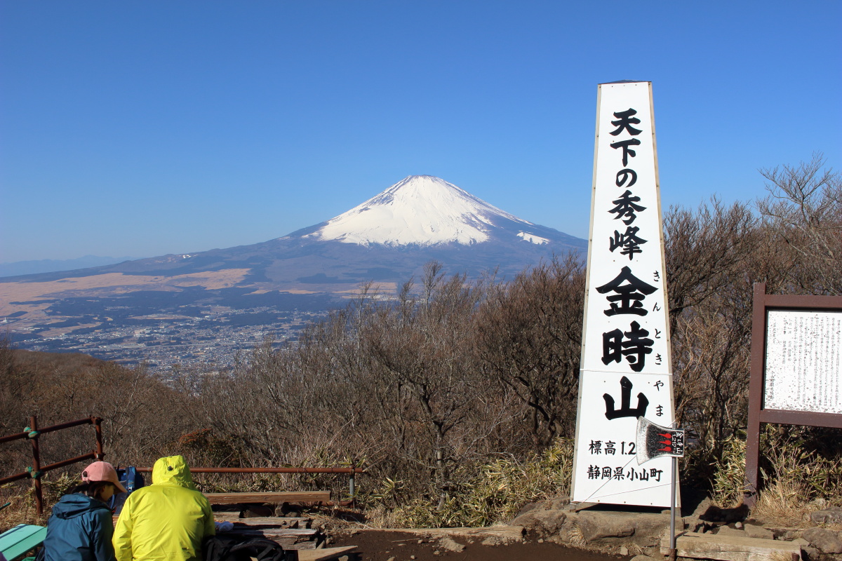 金時山山頂から眺める富士山