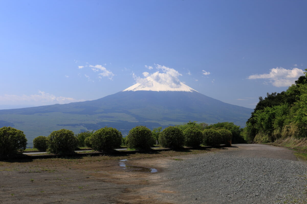 箱根スカイライン脇からの富士山の眺め