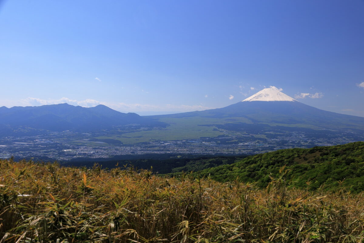 富士見ヶ丘公園からの愛鷹山と富士山の大展望！
