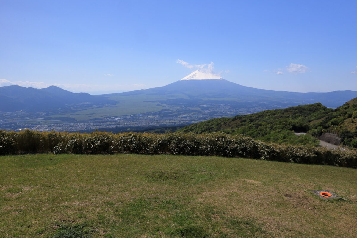 芝生が広がる富士見ヶ丘公園