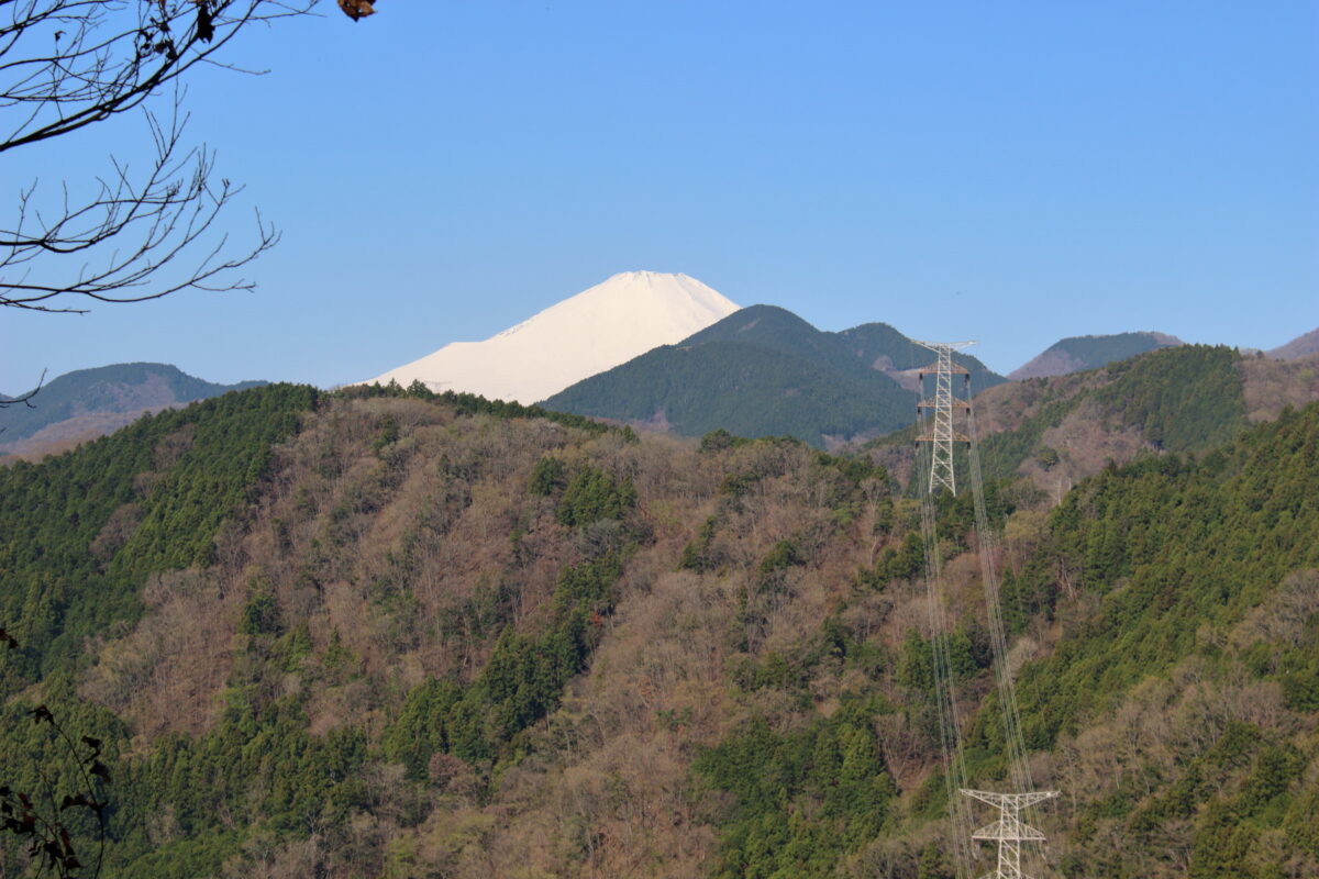 三ノ塔尾根の登山道から眺める富士山