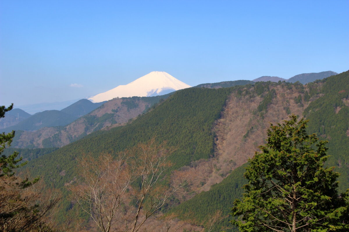 三ノ塔尾根の登山道から眺める富士山