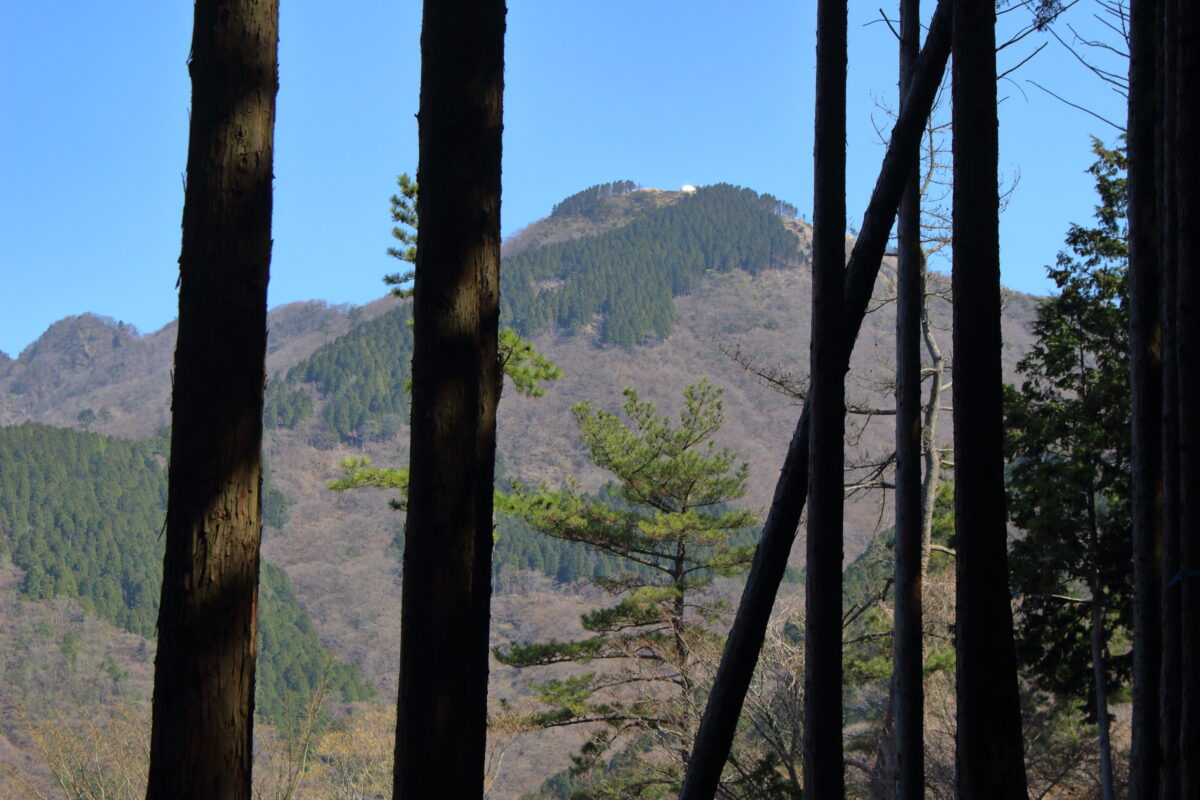 三ノ塔尾根の登山道から眺める烏尾山