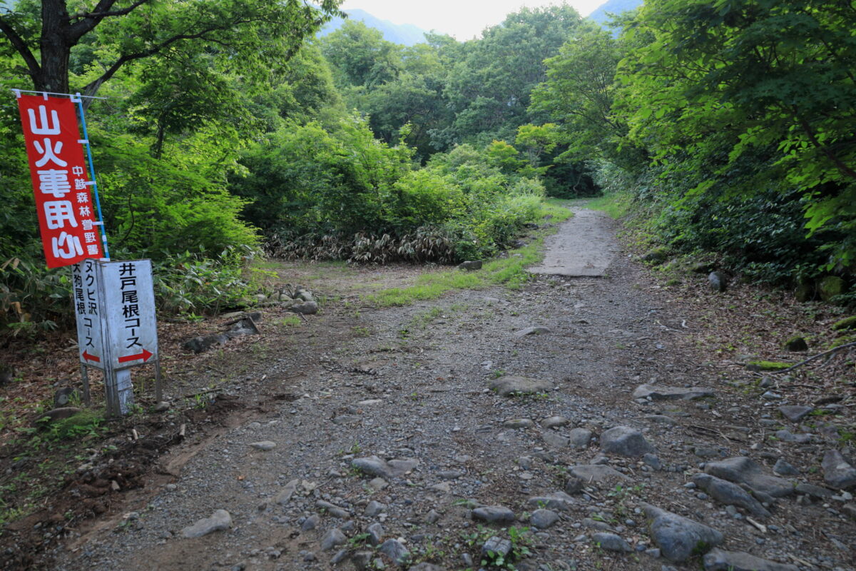 登山口近くにある井戸尾根コースとヌクビ沢・天狗尾根コースの分岐