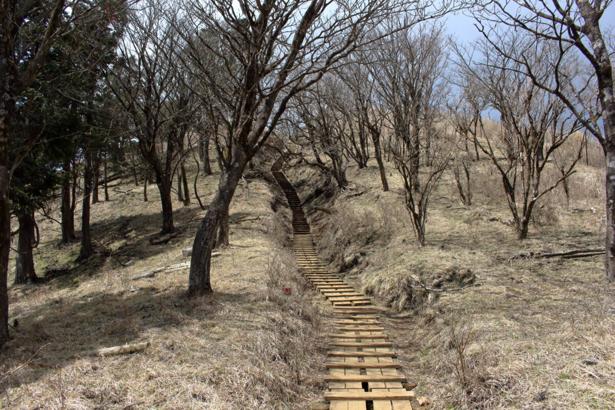 烏尾山への木道と階段の登り返し