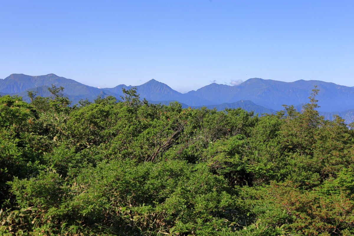 標高1564m地点からの谷川連峰の眺め