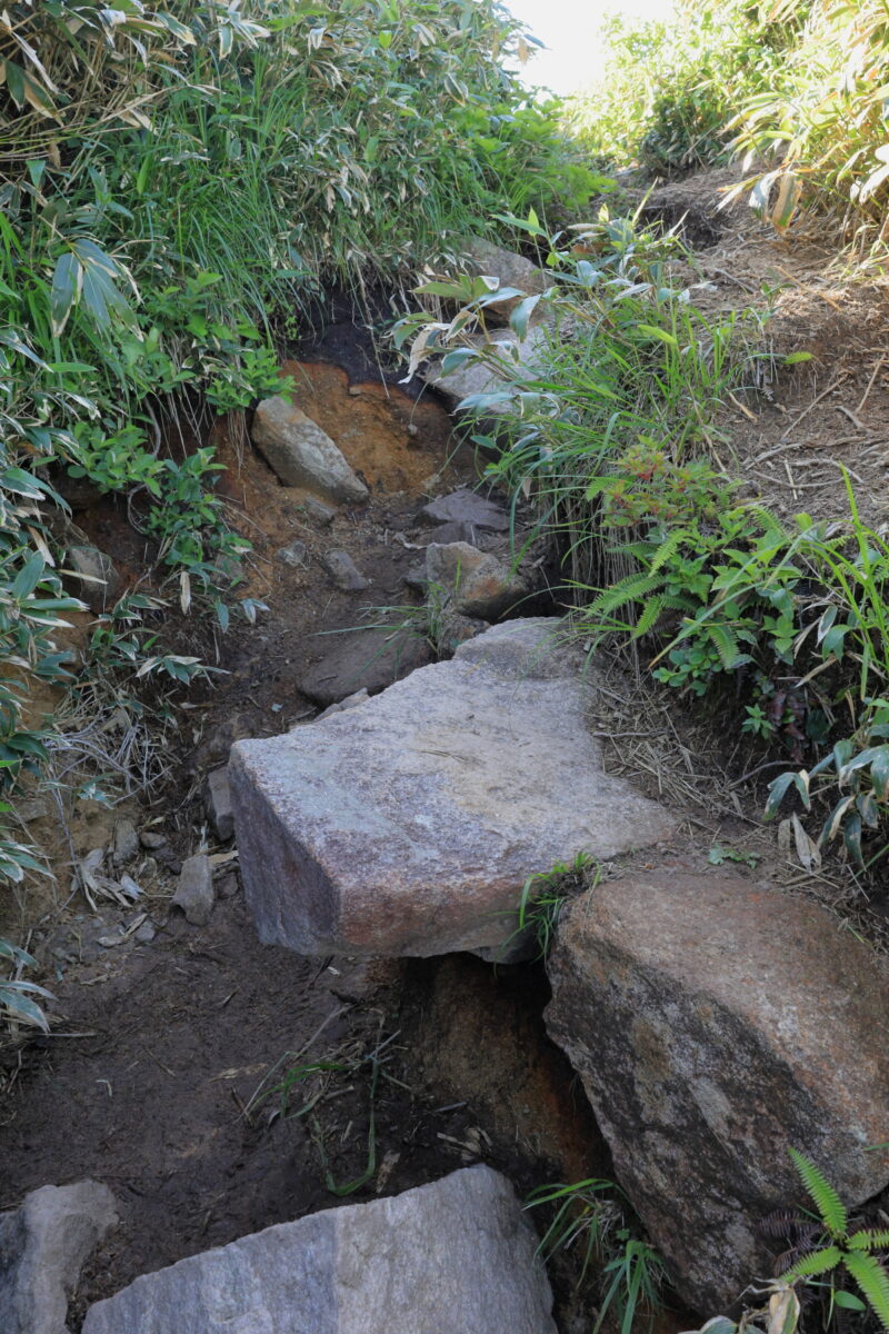 大きな岩や石が多めの井戸尾根の登山道