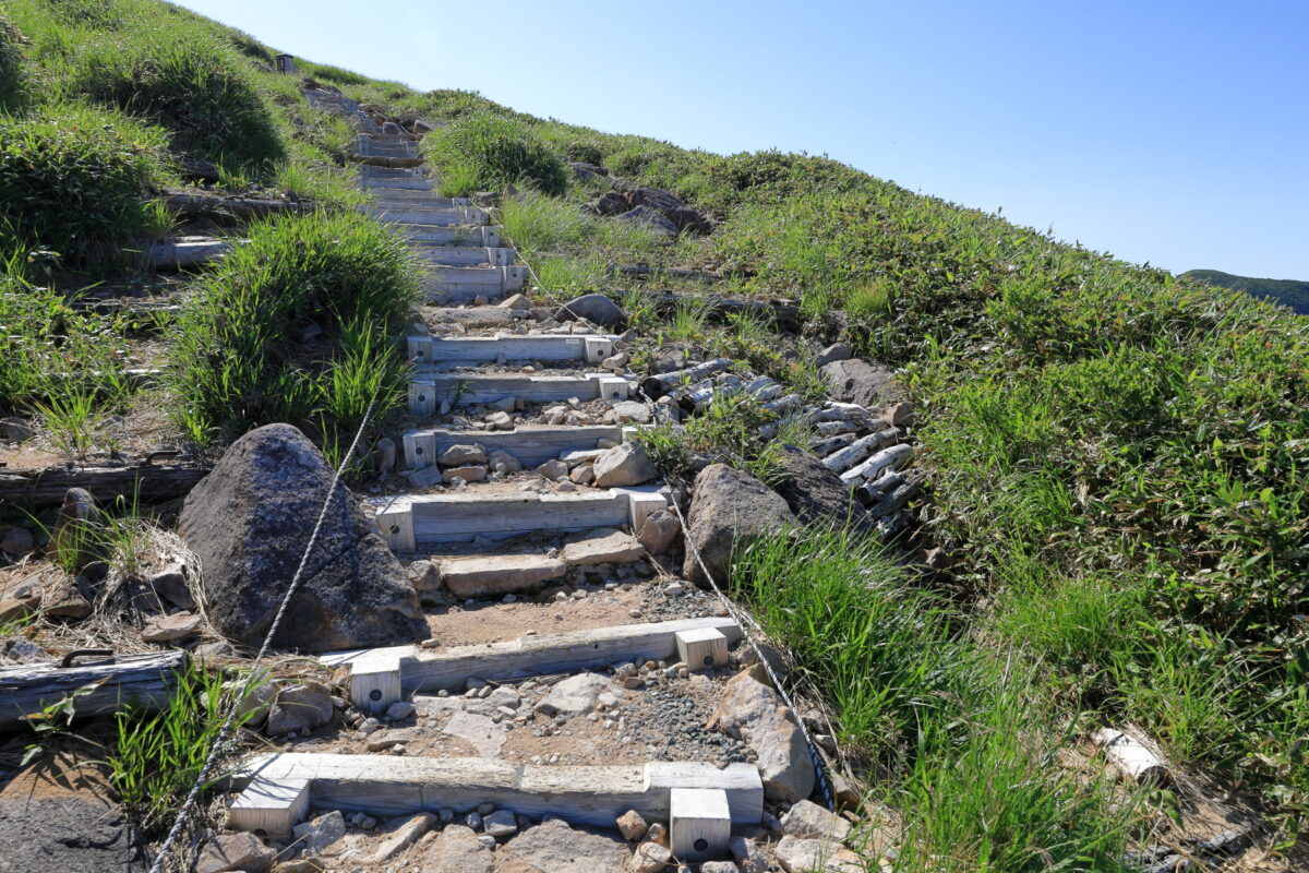 笹の急登を終えると階段が現れる井戸尾根の登山道